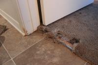 Spotless Carpet Repair Perth image 3